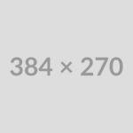 Freelancer Days 2024, What’s new?
